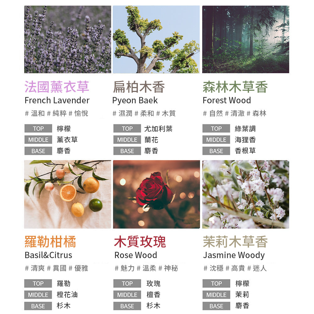 【韓國 Kundal】擴香黃金版(每組2瓶入)